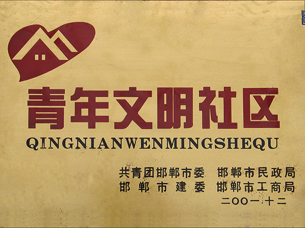 青年文化社区